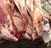 https://www.tp24.it/immagini_articoli/01-11-2011/1379509587-1-mucche-malate-di-tbc-scatta-lallarme-carne.jpg