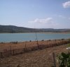 https://www.tp24.it/immagini_articoli/04-02-2024/1707071943-0-non-solo-siccita-per-gli-agricoltori-siciliani-c-e-anche-il-problema-dell-alga-tossica.jpg