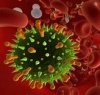 https://www.tp24.it/immagini_articoli/04-04-2020/1585995285-0-preghiera-clausura-coronavirus.jpg