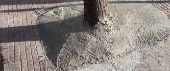 https://www.tp24.it/immagini_articoli/06-02-2023/1675673866-0-marsala-una-colata-di-cemento-per-gli-alberi-di-via-scipione-l-africano-nbsp.jpg