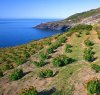 https://www.tp24.it/immagini_articoli/08-06-2016/1465361975-0-pantelleria-sara-parco-nazionale-lo-decidono-la-regione-e-il-ministero-dell-ambiente.jpg