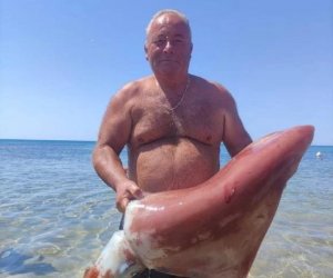 https://www.tp24.it/immagini_articoli/09-08-2022/1660025065-0-un-calamaro-gigante-pescato-a-mani-nude-a-triscina-nbsp.jpg