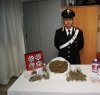 https://www.tp24.it/immagini_articoli/12-05-2014/1399891601-0-coltivava-e-spacciava-marijuana-arrestato-giovane-pusher-a-valderice.jpg