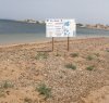 https://www.tp24.it/immagini_articoli/13-06-2015/1434187841-0-spiagge-degrado-a-sibiliana-a-petrosino-continua-la-pulizia-a-marsala.jpg