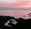 https://www.tp24.it/immagini_articoli/15-08-2014/1408088288-0-passitaly-rassegna-dedicata-vini-passiti-del-mediterraneo-a-pantelleria.jpg