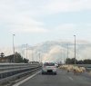 https://www.tp24.it/immagini_articoli/16-03-2015/1426486306-0-palermo-mazara-del-vallo-gregge-di-pecore-in-autostrada.jpg