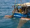 https://www.tp24.it/immagini_articoli/16-06-2014/1402933899-0-amp-egadi-e-pescatori-al-ministero-autorizzateci-a-usare-il-tartarune.jpg