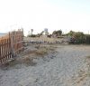 https://www.tp24.it/immagini_articoli/16-08-2013/1378804807-1-scene-di-normale-degrado-a-marsala-in-spiaggia-vicino-al-lido-pakeka.jpg