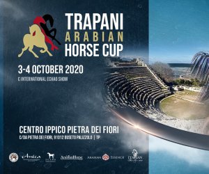 https://www.tp24.it/immagini_articoli/18-09-2020/1600465840-0-trapani-arabian-horses-cup-2020.jpg