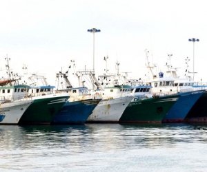 https://www.tp24.it/immagini_articoli/18-10-2019/1571378222-0-pesca-laccordo-sindacato-libico-progetto-open.jpg