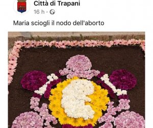 https://www.tp24.it/immagini_articoli/18-10-2021/1634564910-0-trapani-nbsp-l-infiorata-anti-aborto-i-giovani-di-fratelli-d-italia-strumentalizzata-per-attacco-politico.jpg