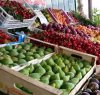 https://www.tp24.it/immagini_articoli/18-12-2021/1639809856-0-castelvetrano-scatta-la-chiusura-per-due-chioschi-di-frutta-e-verdura.jpg