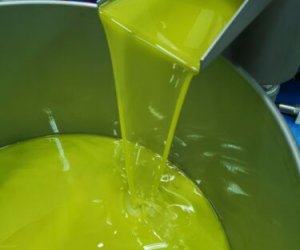 https://www.tp24.it/immagini_articoli/22-10-2021/1634892587-0-olio-di-oliva-il-prezzo-in-sicilia-si-mantiene-stabile.jpg