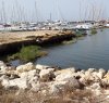 https://www.tp24.it/immagini_articoli/26-06-2014/1403781553-0-anche-a-marsala-il-marrobbio-nessun-danno-al-porto-solo-tanta-sporcizia.jpg