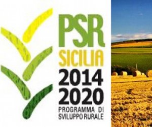 https://www.tp24.it/immagini_articoli/26-09-2020/1601128444-0-fondi-europei-per-gli-agricoltori-siciliani-incontro-a-castelvetrano.jpg