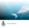 https://www.tp24.it/immagini_articoli/27-05-2023/1685180434-0-oggi-e-domani-a-castelvetrano-il-belicitta-plastic-free-week-end.jpg