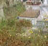 https://www.tp24.it/immagini_articoli/29-09-2023/1695976617-0-ecco-il-perche-del-degrado-nel-cimitero-di-castelvetrano-che-a-breve-sara-ripulito.jpg