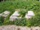 https://www.tp24.it/immagini_articoli/30-09-2023/1696090215-0-il-cimitero-di-erice-in-stato-di-degrado-e-abbandono.jpg
