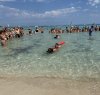 https://www.tp24.it/immagini_articoli/31-08-2022/1661964016-0-tornano-i-cani-di-salvataggio-sulla-spiaggia-di-san-vito.jpg